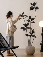 高級感あふれるフェイク植物！大きなゴムの木【和のテイスト・リビング用】
