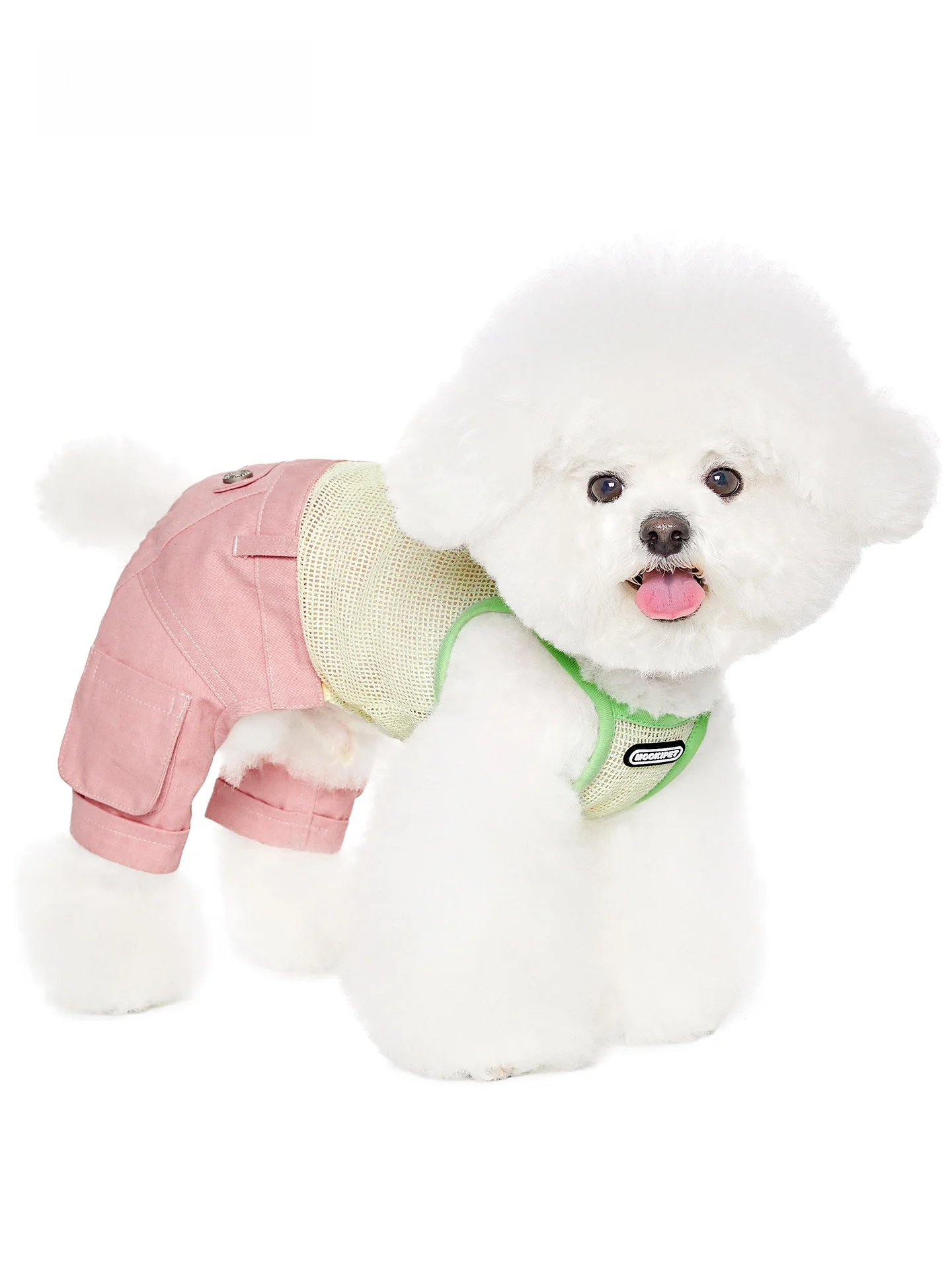 犬を飼う初心者が迷う「夏の服」はどう選ぶ？