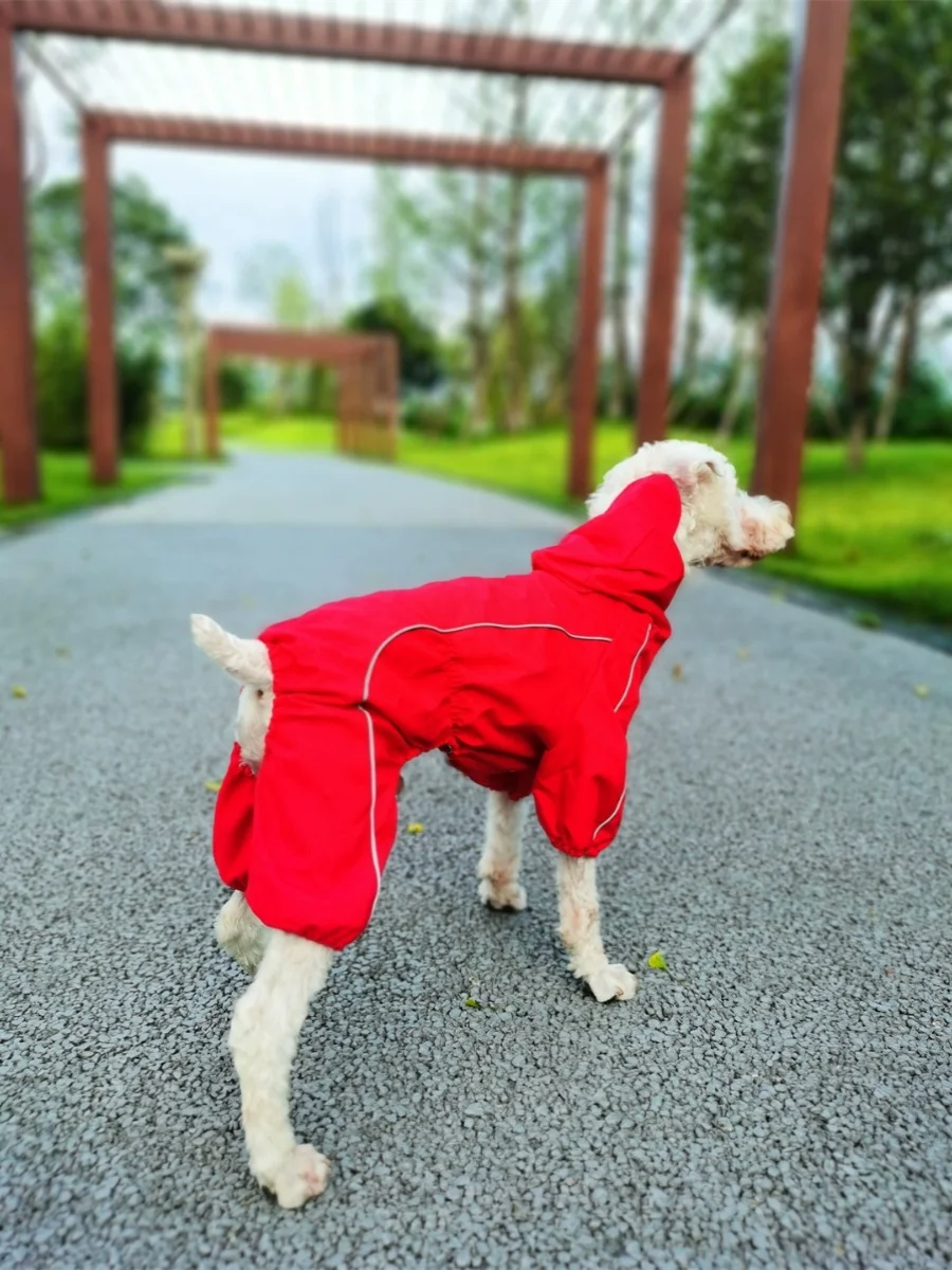 犬のお散歩グッズをコスパ良く揃える方法 - ペット用防水レインコートの技術的背景