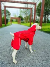 ペット用防水犬用レインコート【春夏用・チワワ・ビションフリーゼ・テディベア向け・カラフル】