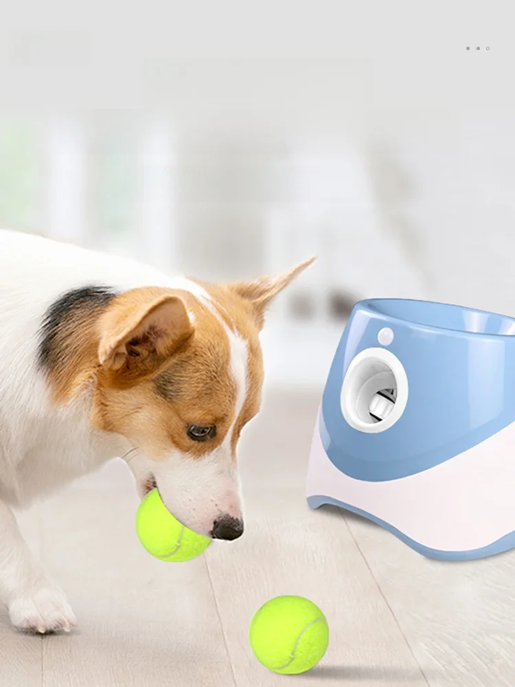 犬のお散歩グッズをコスパ良く揃える方法　自動投球機で解決する実際の悩み