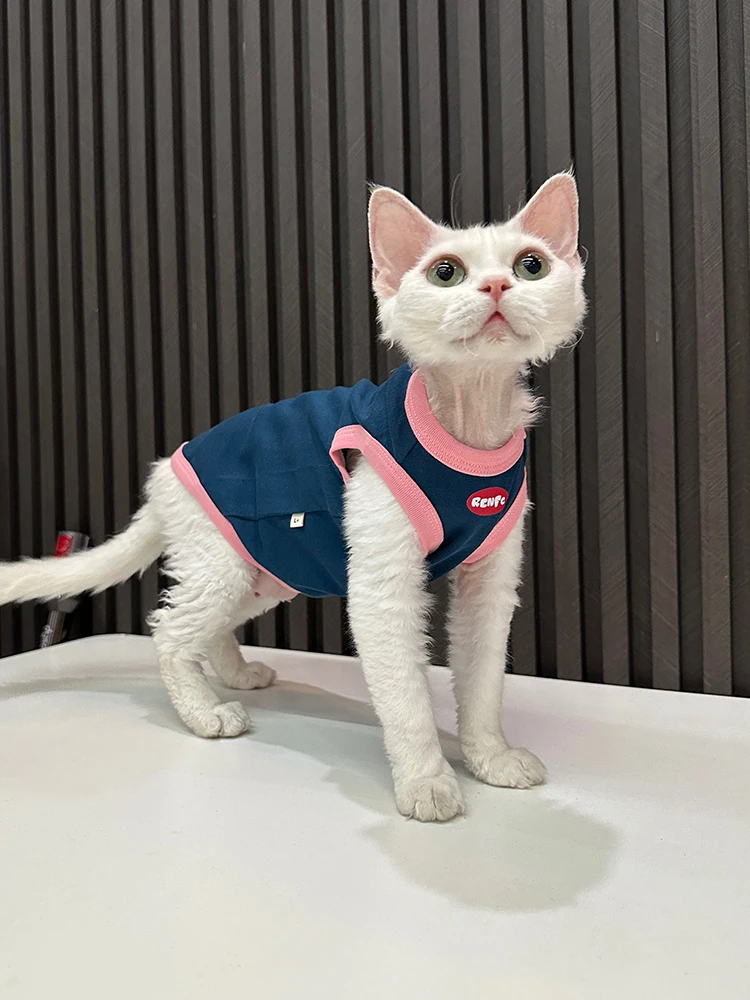 猫に着せたい服は、本当に必要なの？純綿のスフィンクス用タンクトップが話題になる理由