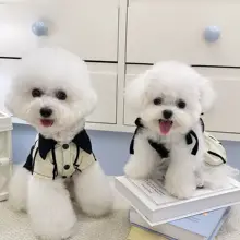 ペットウェア 犬 猫 シャツワンピース 綿100% ストライプ バイカラー 韓流 インスタ映え 上品 お揃い「HC」