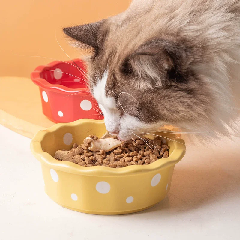ドット柄の猫用陶器ボウル【水飲み・おやつ・ペット用】