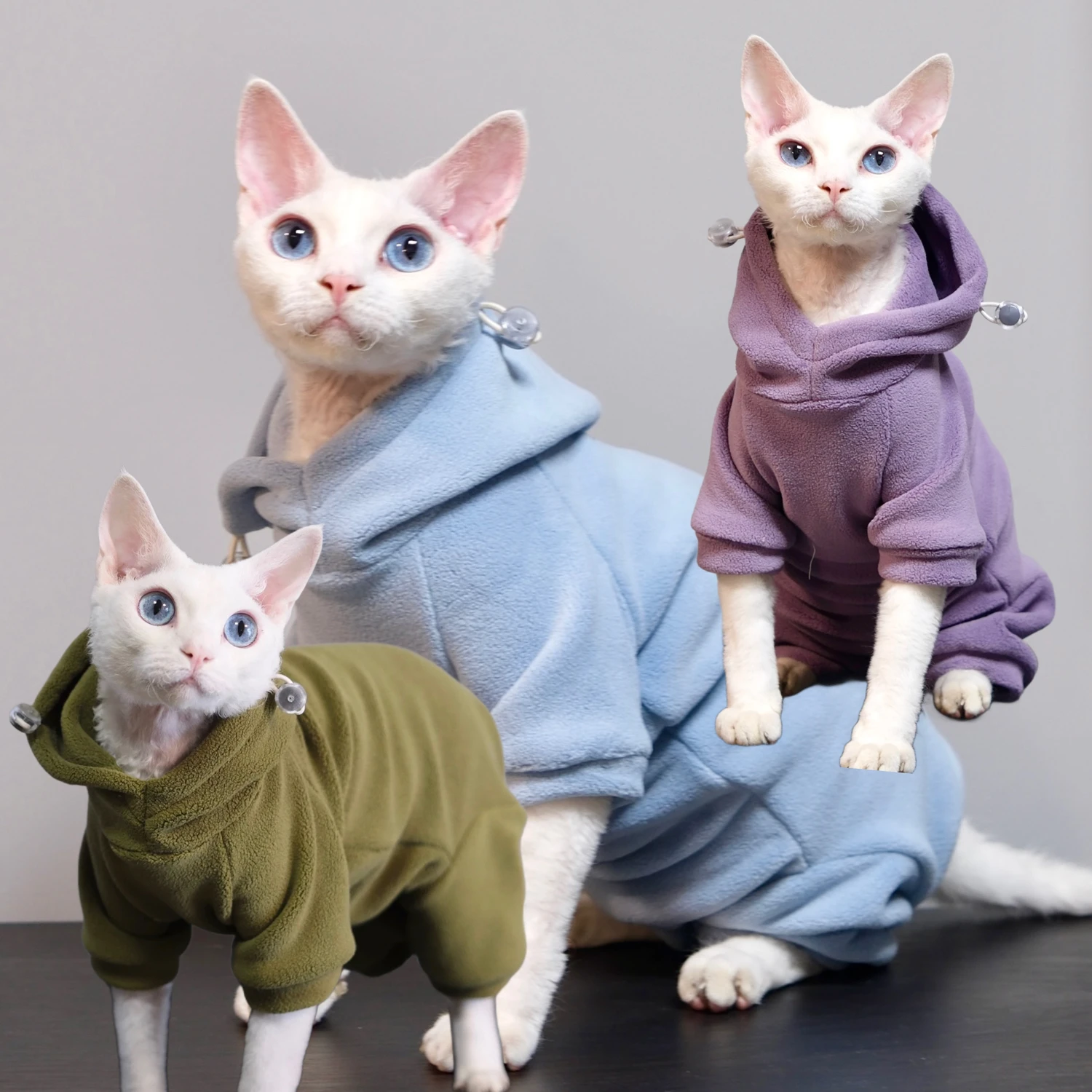 おうち時間を豊かにするおすすめアイテム｜猫との暮らしを快適に保つための実際の使い心地徹底解説