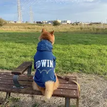 デニム風フード付きペットウェア【犬・猫用・アウトドア向け】