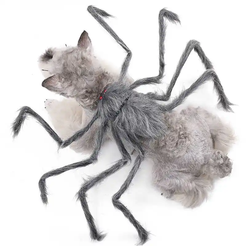 ハロウィン2026に使えるペット衣装は？リアルなスパイダーといたずら犬服がおすすめ！
