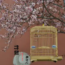 手作りの竹製鳥籠【中小型鳥用・フルセット】（セットアップ対応）