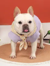 春秋向けの愛らしいペット用ウェア【薄手タンクトップ・中小型犬用】
