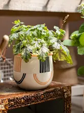 北欧風 コンクリート風多肉植物用花器【ボヘミアンスタイル・創造的デザイン】