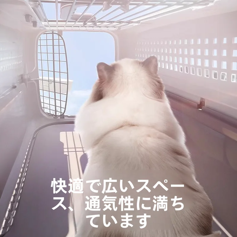 引っ越しでペットを一緒に運ぶのは難しい？そんなときの最強のアイテムはこれ！