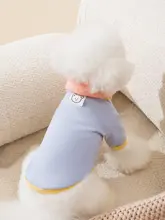 hipidog 小型犬用ウェア【春秋用・テディベア風・ニット・カラーブロックデザイン】