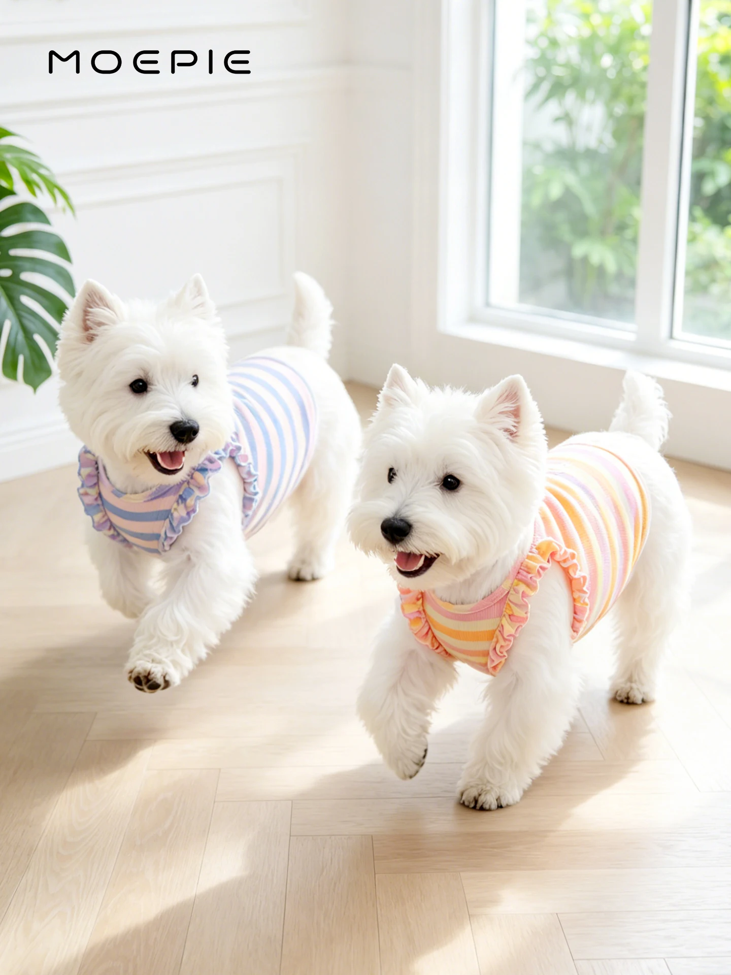 犬の夏用服：MOEPIE半袖通気性服の実用性とサイズ選定ガイド