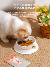 転倒しにくい陶器製ペットボウル【猫用・水入れ・食器】