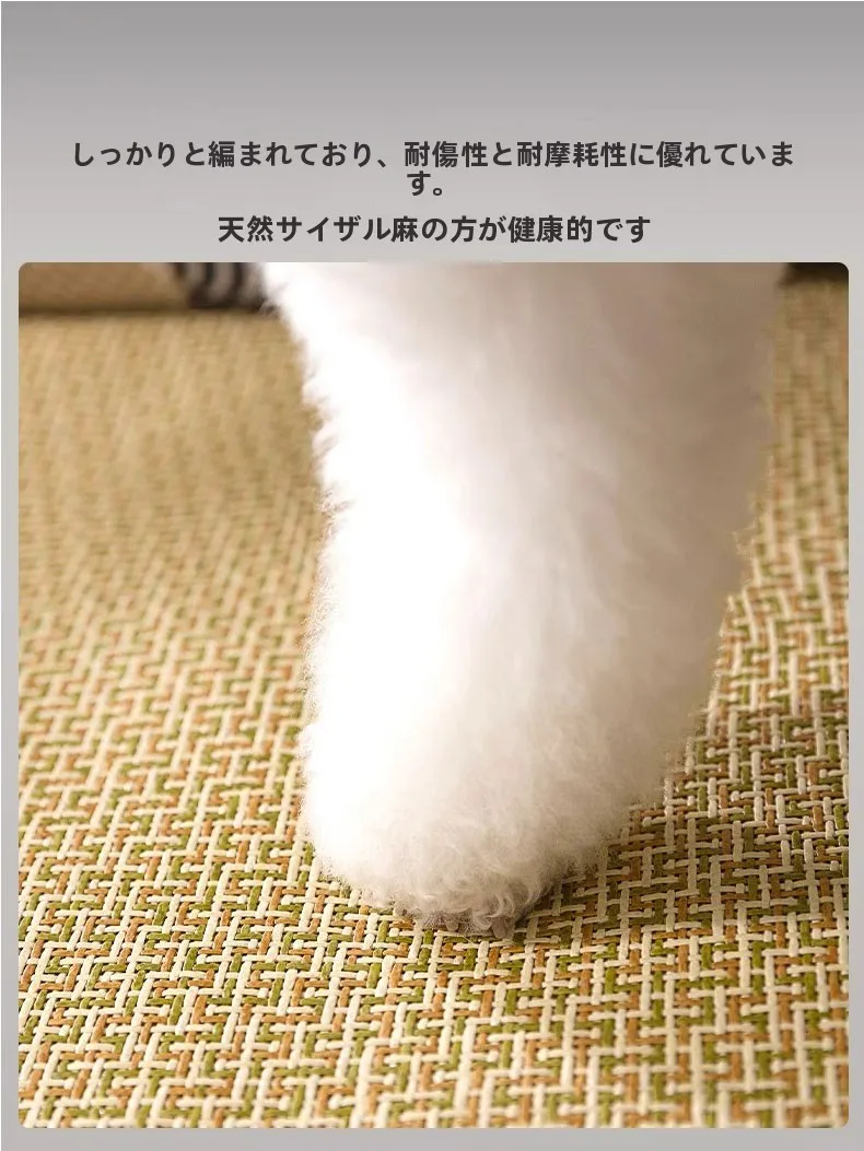 犬熱中症対策グッズは本当に必要ですか？実際の使い心地から見直す