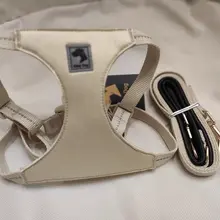 可愛いデザインの犬用ハーネス【中小型犬用・お出かけ用・胸部固定タイプ】