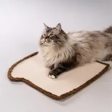 猫用爪研ぎボード【極上の柔らかさ・遊び道具】