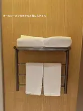 黒チタン製ステンレスのタオルラック【二重棒タイプ・バスルーム用・収納可能】