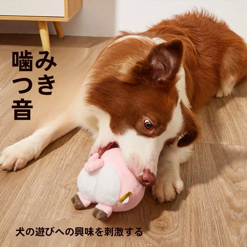 おもちゃ ワミー で悩むなら、犬用の発声おもちゃが本当の「心の癒し」になる？