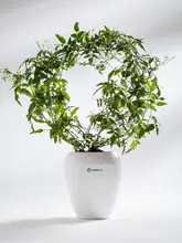 自吸水仕様の大口径植木鉢【樹脂製・多肉植物や観葉植物用】