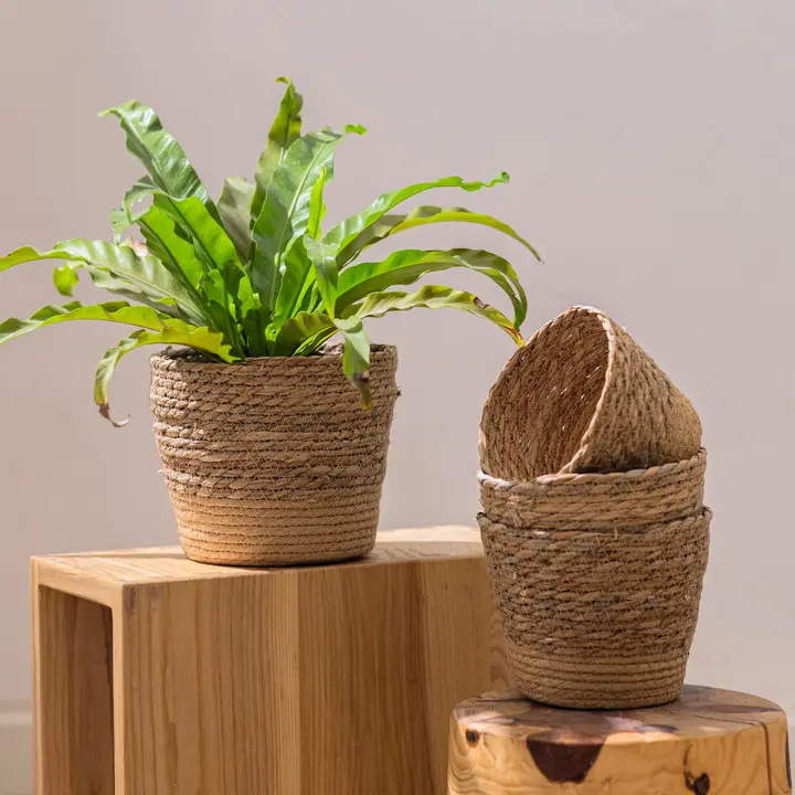 鉢カバー 編み込み ラタン調 観葉植物 インテリア おしゃれ 目隠し