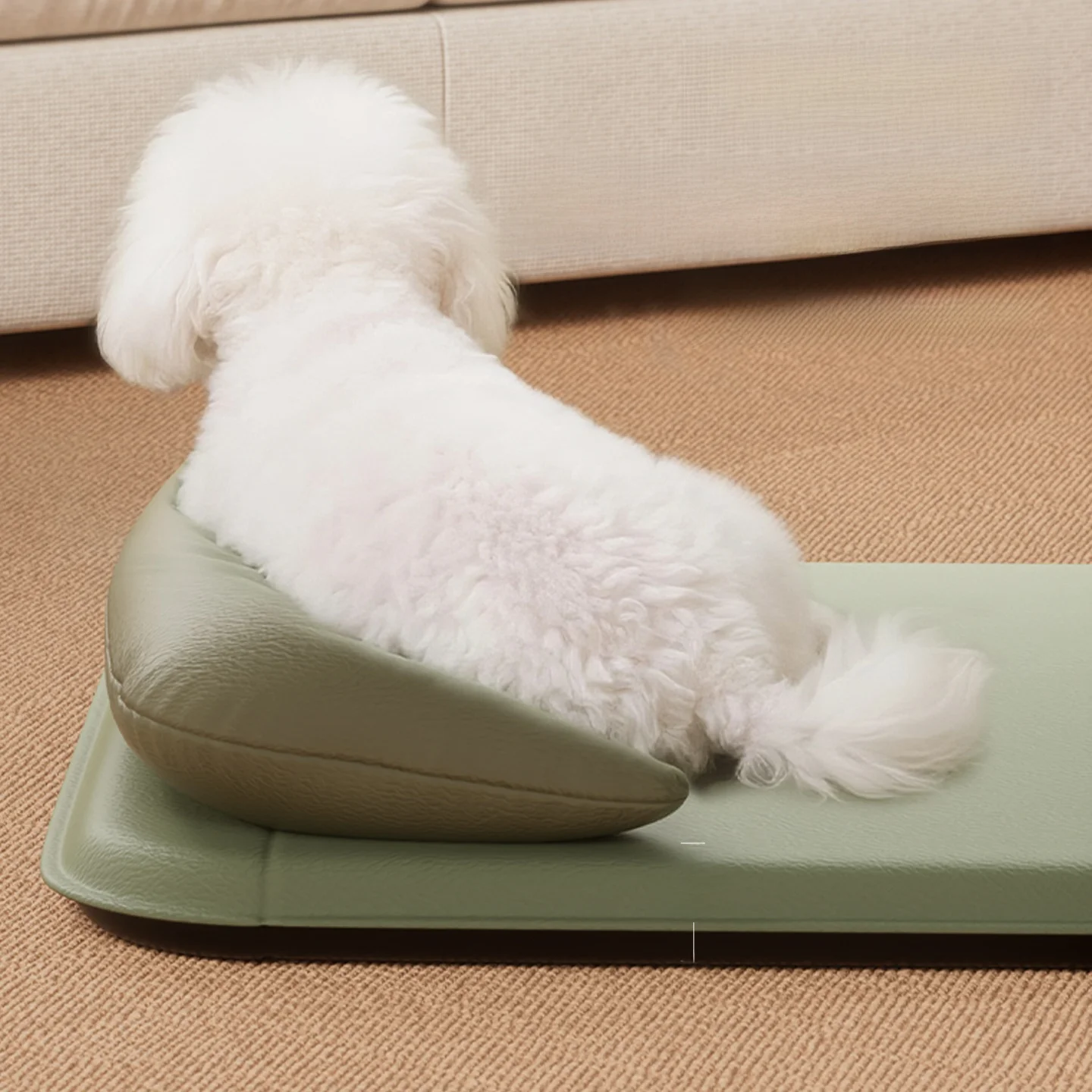 防水加工の犬用ソファベッド：首を守るネックサポートと四季通用の実用性
