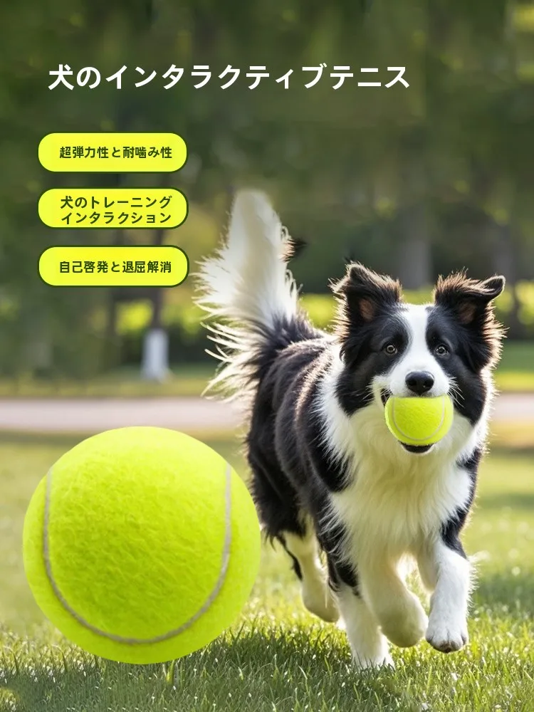 見つけたデイリー雑貨まとめ｜失敗しない選び方とライフスタイルに合うアイテムの徹底解説