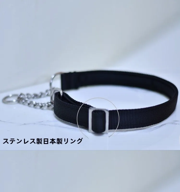 犬のお散歩グッズをコスパ良く揃える方法は？実際の使い心地から見つけたベストな選択肢