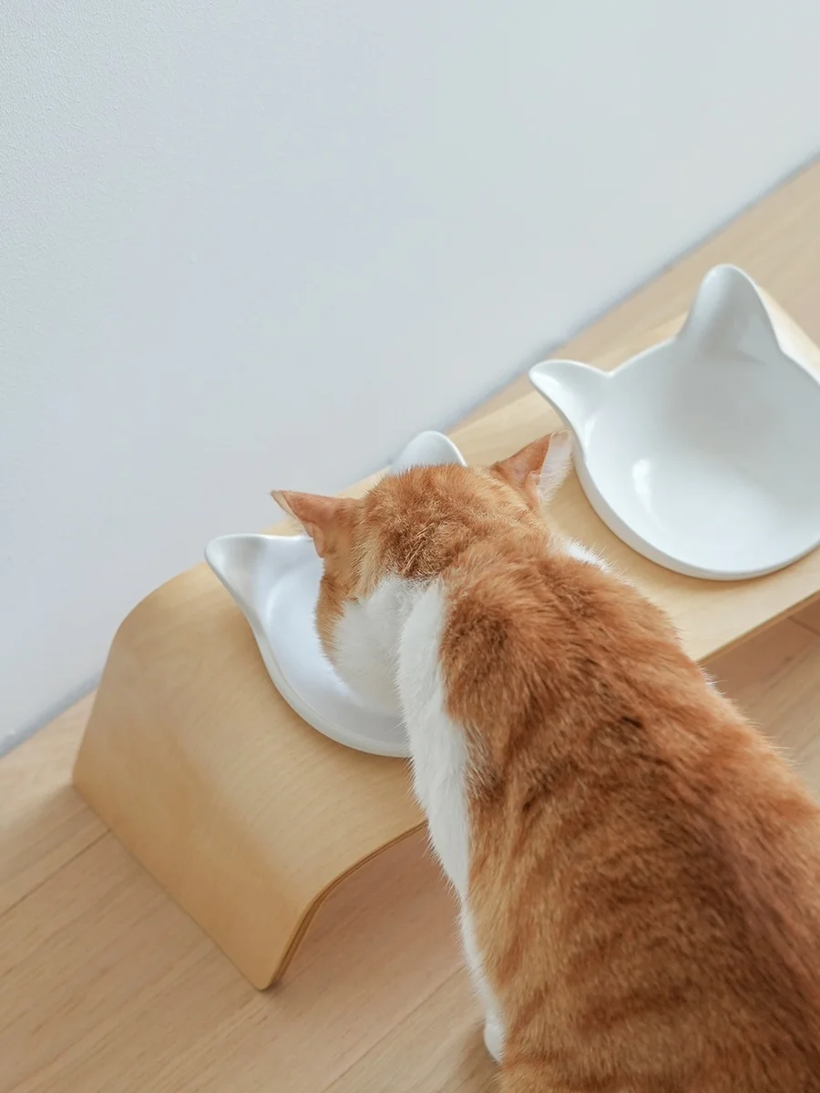 猫用陶器食器台：傾斜設計で安全かつ衛生的な食事環境を実現