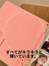 PU製 ピンクとブルーの4区分カートリッジアルバム【3インチ・アイドルカード収納可・活用型】