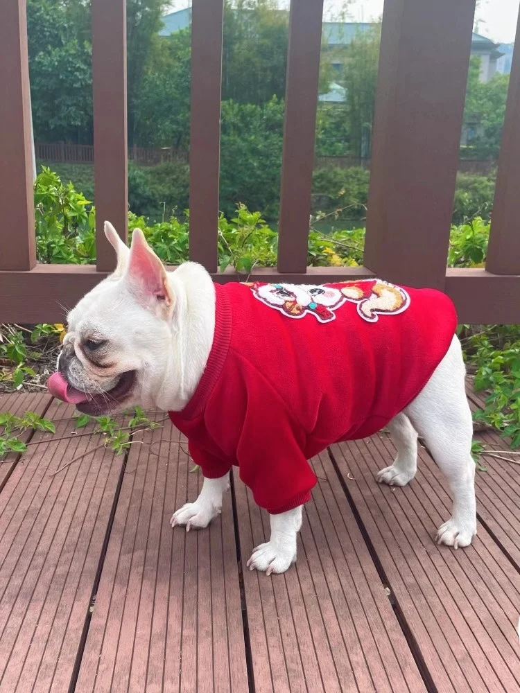 犬用ダブルレイヤーシルクベルベット保温服：冬の寒さ対策に最適な素材とサイズ選びのガイド