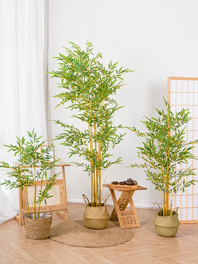 梅雨に備えて買うべき！リアルな竹と密封容器の完全ガイド