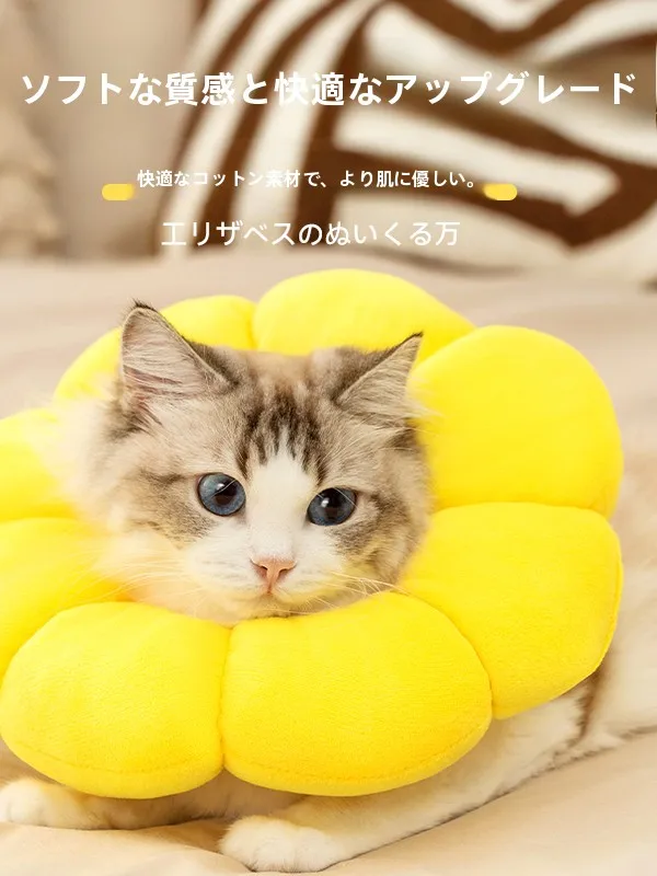 猫飼いが買ってよかったもの・悪かったもの正直に言う｜エリザベスカラーの実測ガイド