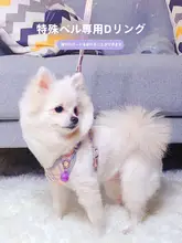 犬用ハーネス型リード【小型犬・テディ・ビション・ペット用品】