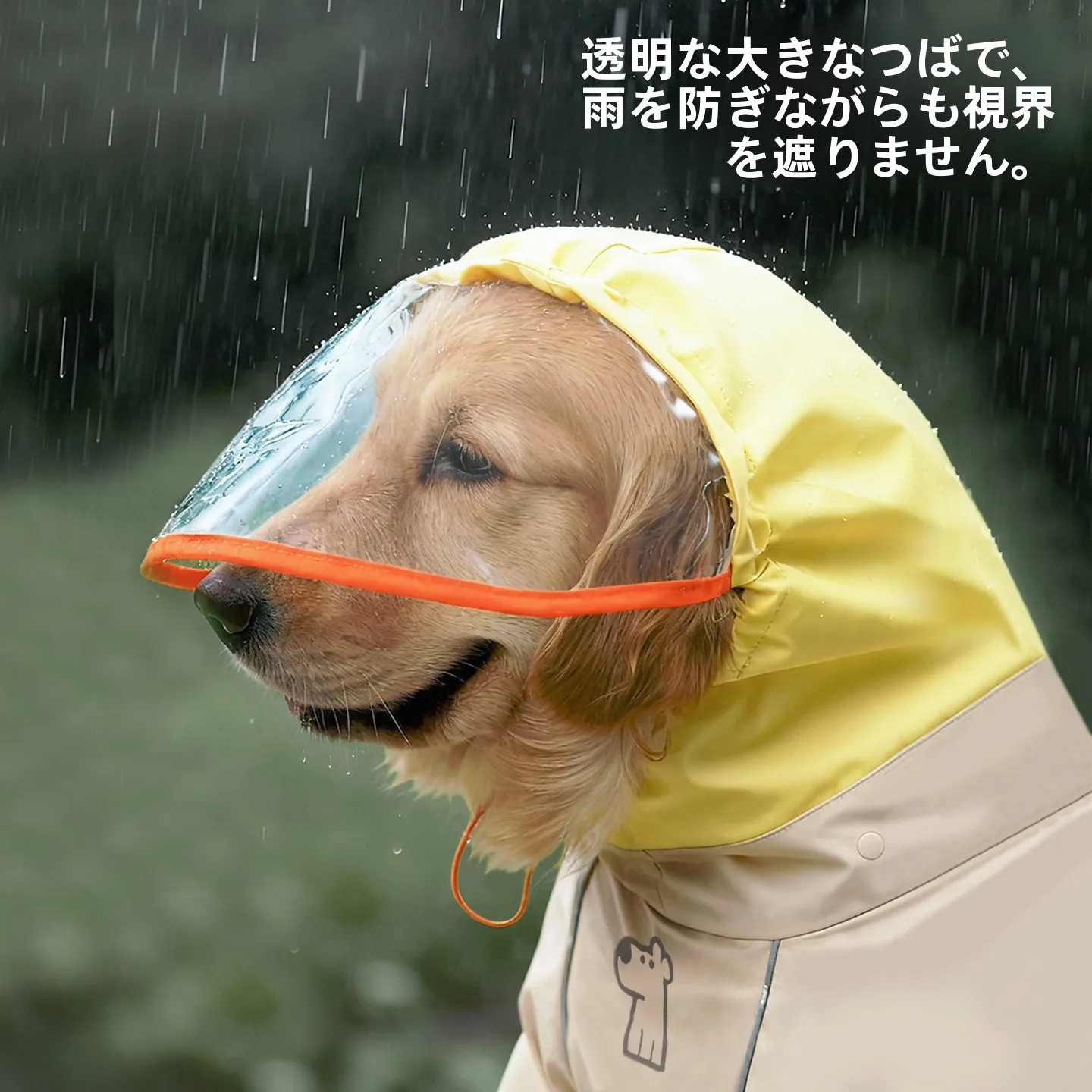 犬のお散歩グッズをコスパ良く揃える方法｜サイズ選びとタイプ別選びの完全ガイド