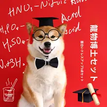 ペット用博士帽とリボンセット【犬猫用・誕生日パーティー・コスプレ道具】