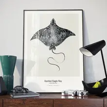 北欧風モノクロートリプティックアート【魚・海洋生物・インテリア装飾用】