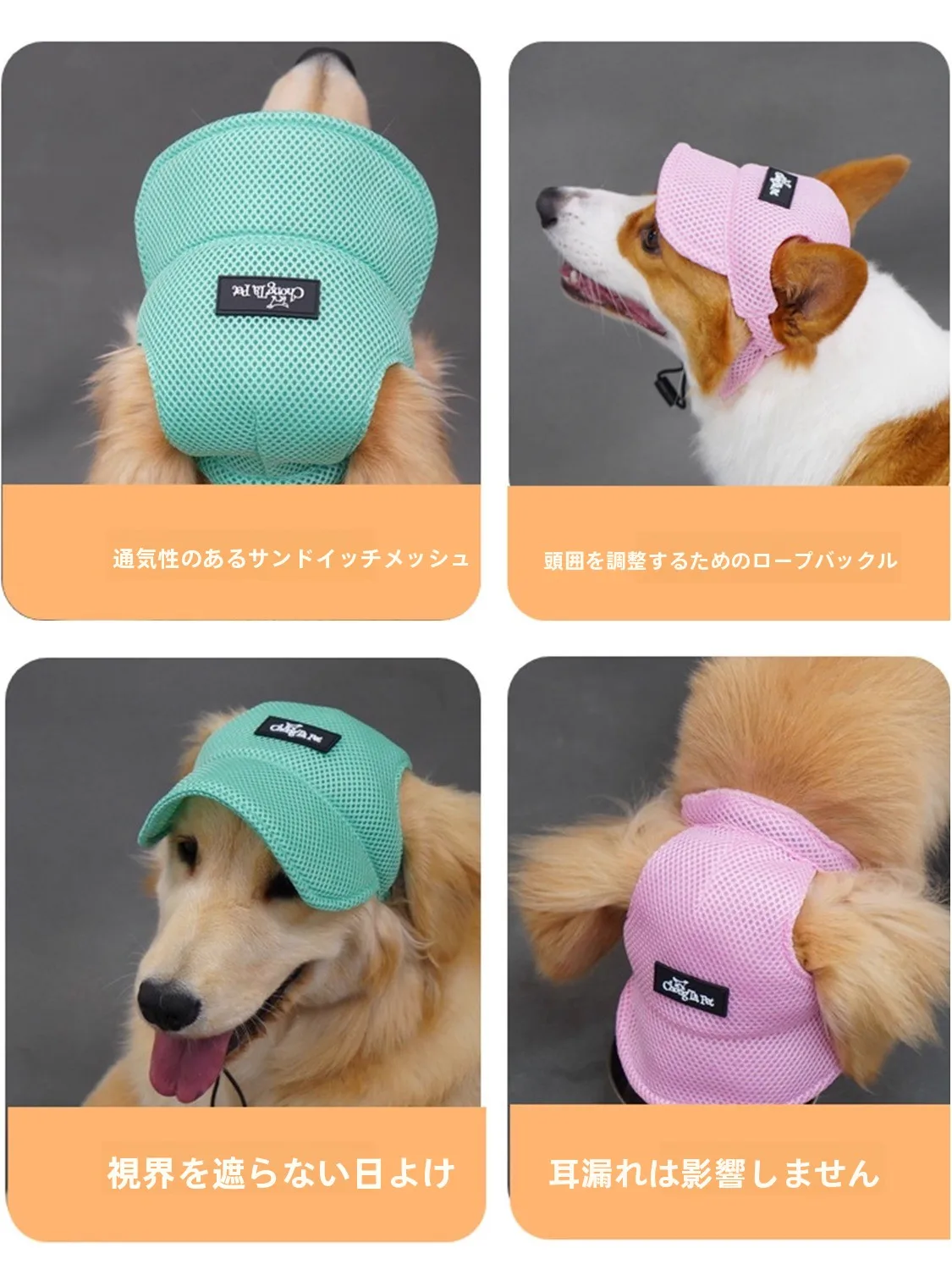 コーデュロイキャップと犬用野球帽、どちらが本当の「夏のこころ」を守る？