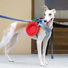 zeze シリコン折りたたみペットボウル【首を守るデザイン・防倒設計・猫用・犬用】