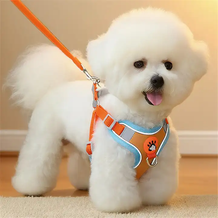 ハーネスタイプの小型犬用リード【お散歩用・胸部サポート・柔らかい素材】