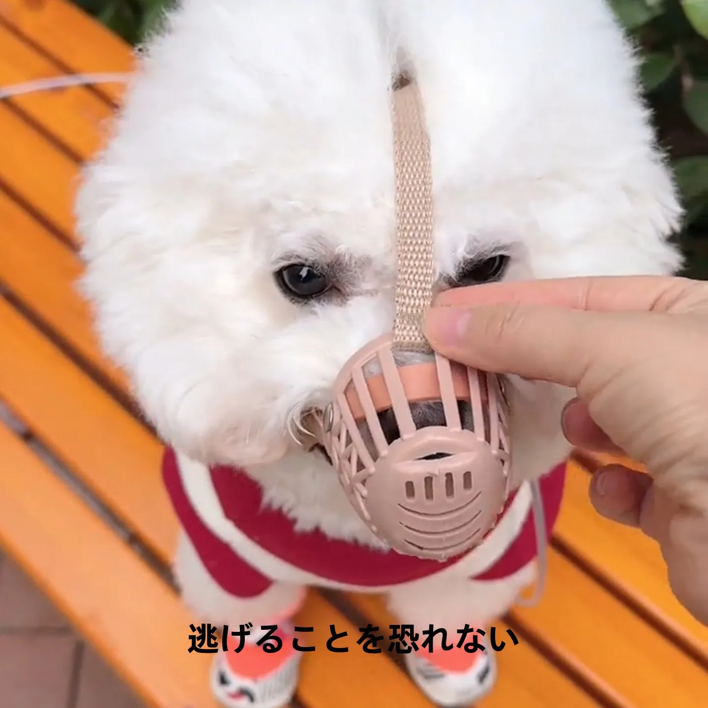 暮らしのセレクション