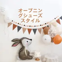 バルーン装飾 背景セット【赤ちゃんの半年記念撮影用・お祝い用】