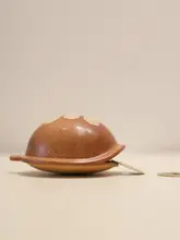 独特なデザインの風水サンゴウ龜甲ストリングお守り【デスク装飾用・銭コイン付き】