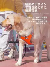 犬用 小中大型犬 背心型カラー リード