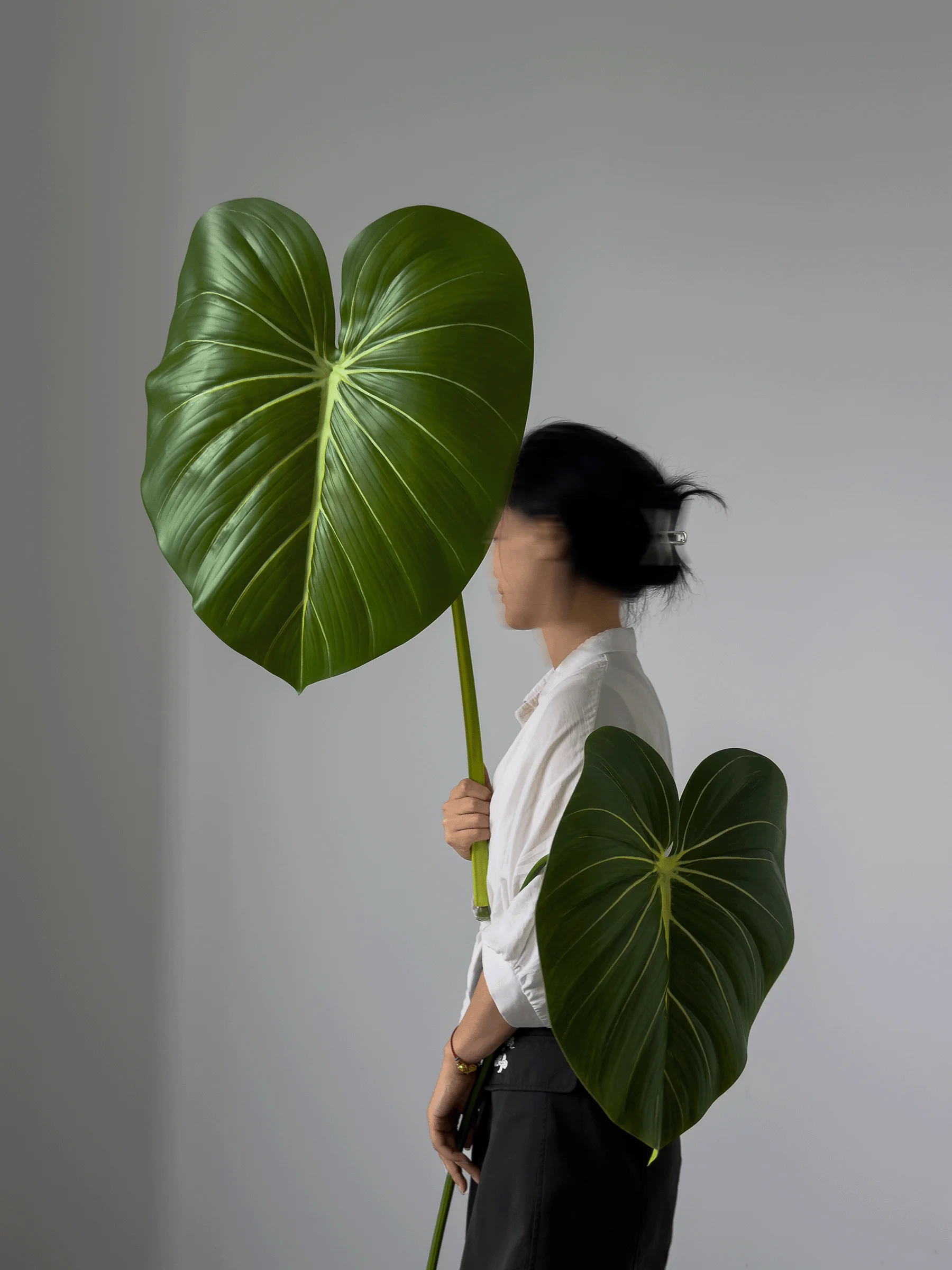 リアルな質感の人工観葉植物を選ぶには？見た目と暮らしの調和が鍵