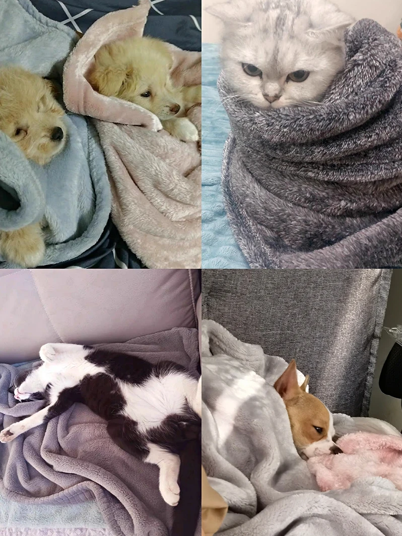 犬用ブランケット：ペット用コーラルフリースブランケットの実用性と選定基準