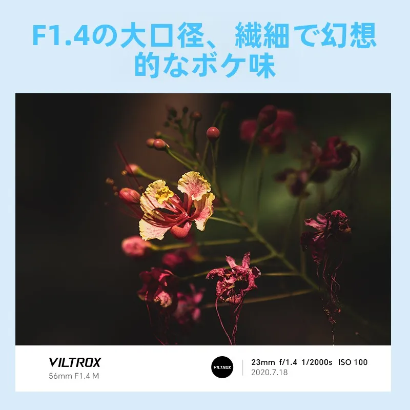 カメラ レンズ を選ぶときに迷うのは、本当に「何を撮るか」なのか？