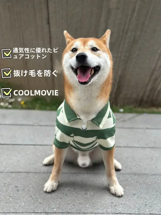 秋用のペット用コットンPOLOシャツ【薄手・通気性・柴犬・シュナウザー・コーギー対応】
