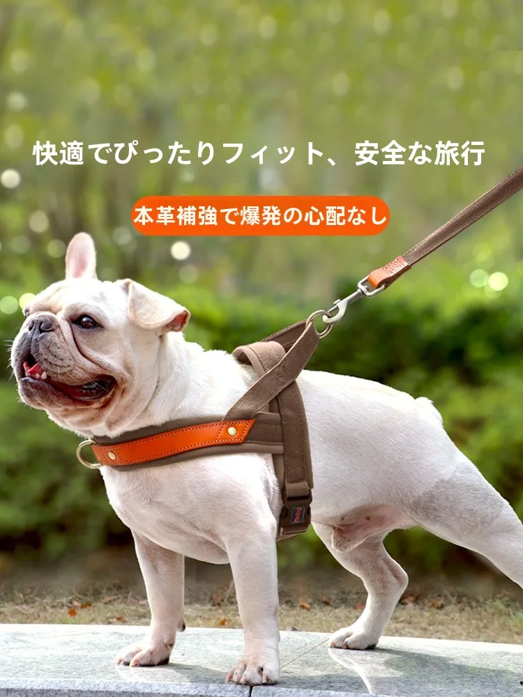 見つけたデイリー雑貨まとめ 実用性とデザインのバランスを徹底解説