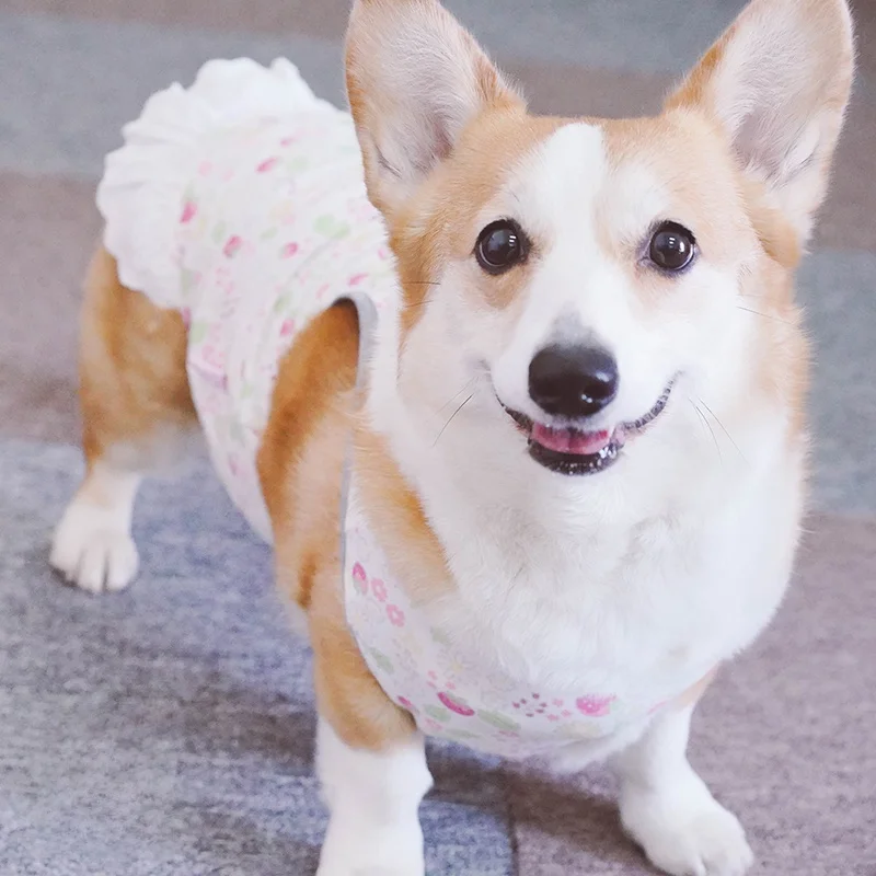 可愛い草莓柄ドッグウェア：柴犬・コーギー用の冷感素材連身裙の実用性とサイズ選定ガイド